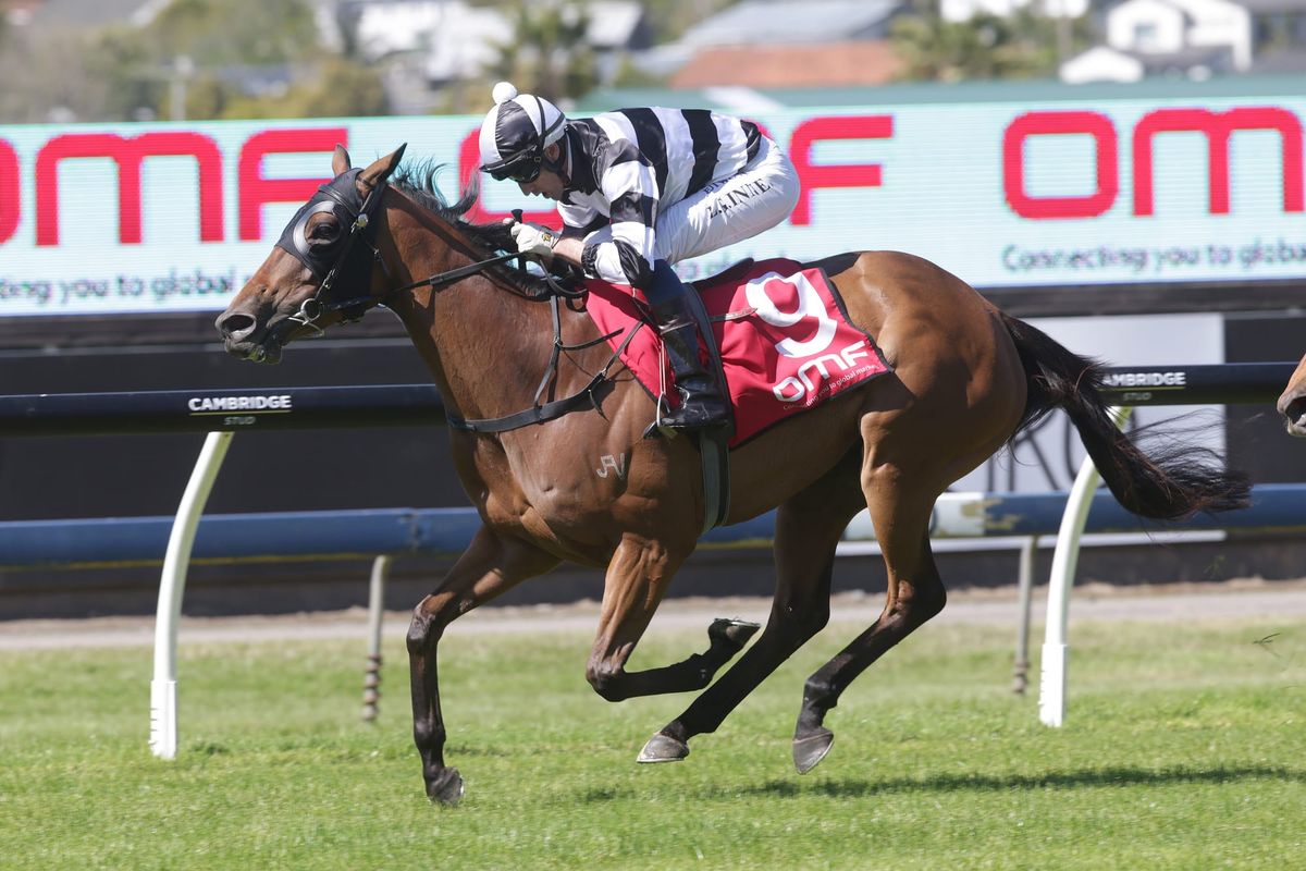 Fiscal Fantasy scores second Group Three
