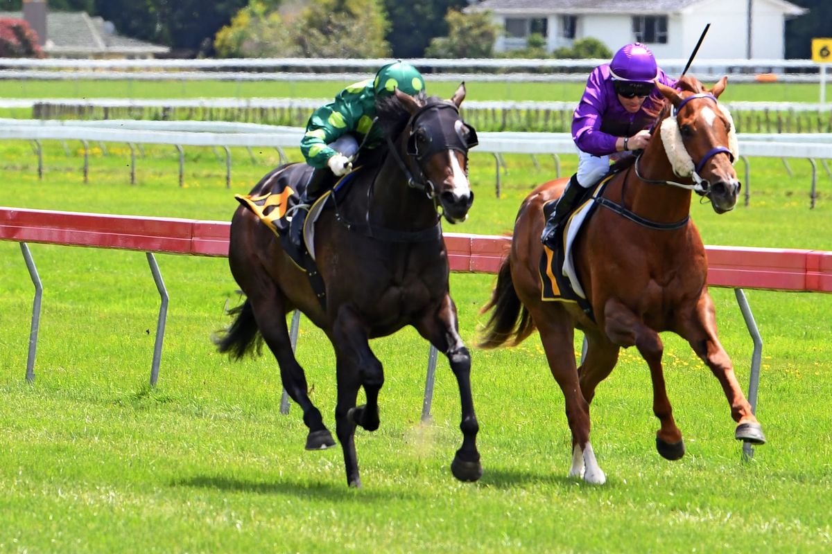 Ready To Run graduate poised for bold debut