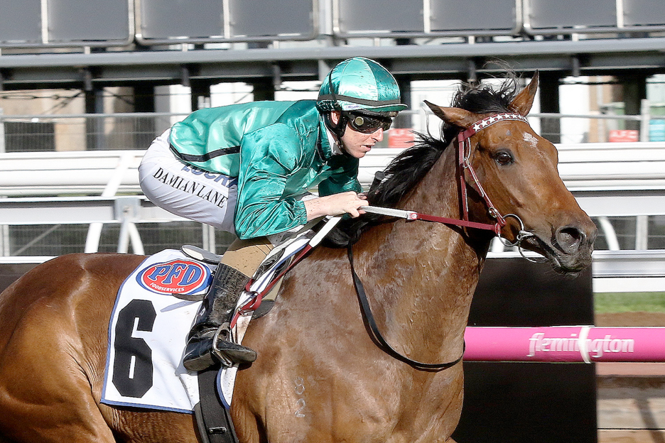 Humidor Perth bound