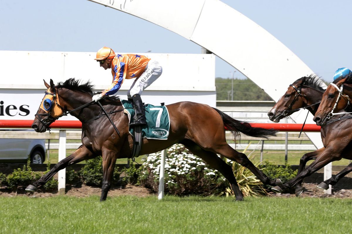 Bosson brilliance lands Counties Cup for Te Akau