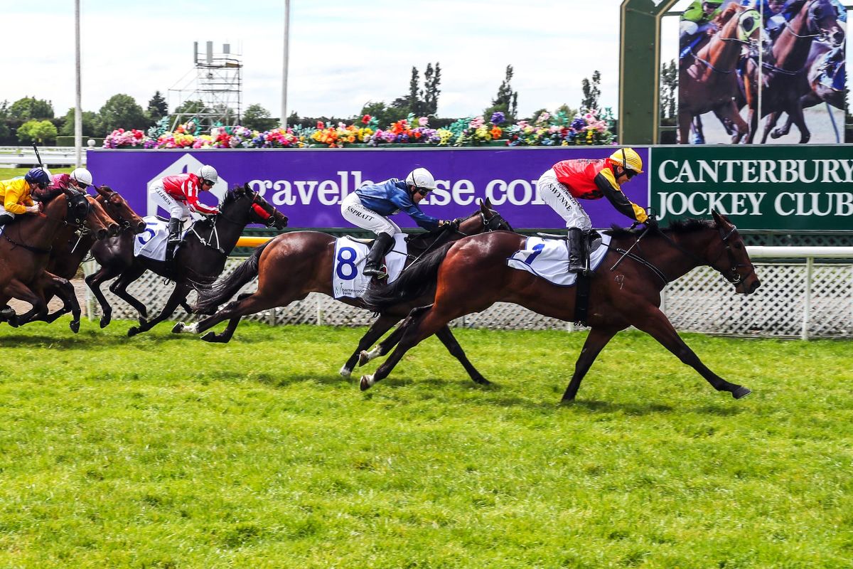 Homebred mare building dream record