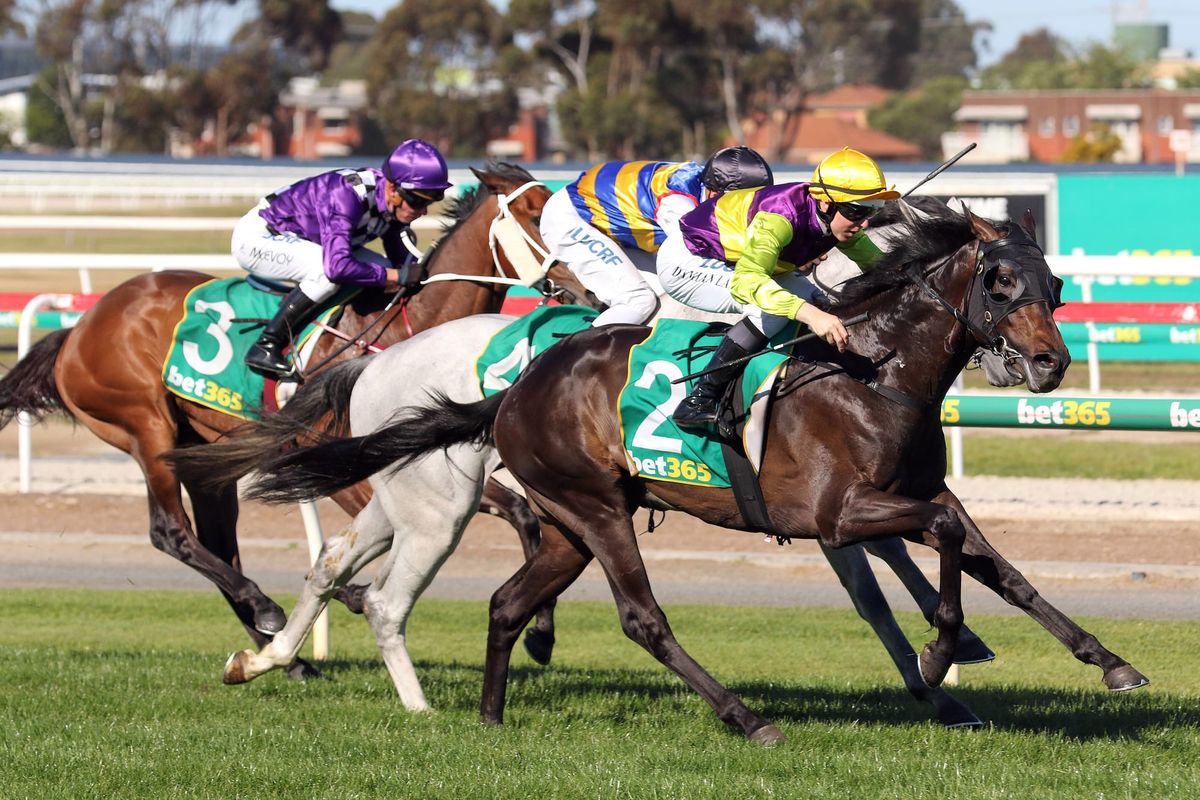 Long Jack carries owner-breeder’s dream