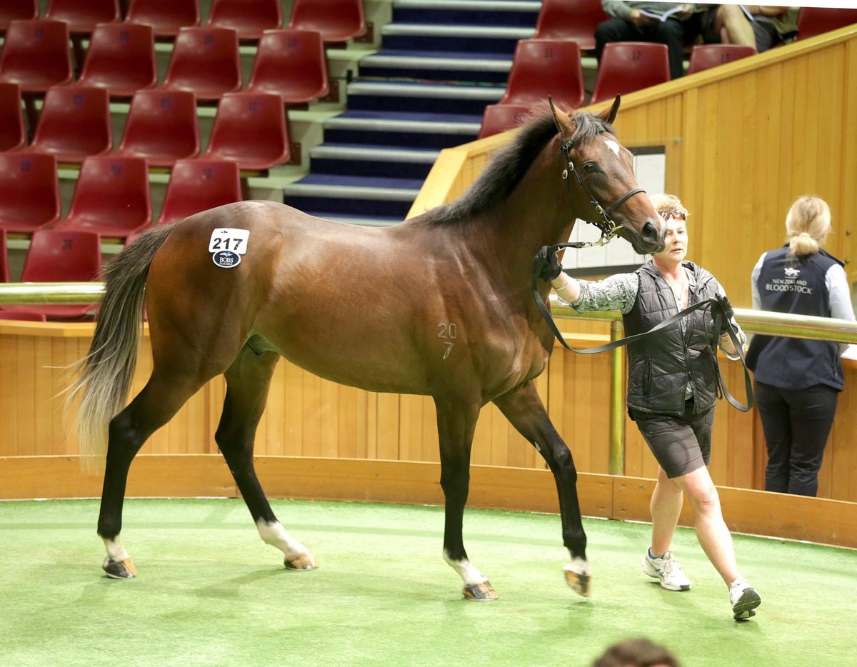 Ritchie maintaining the good fight at Karaka