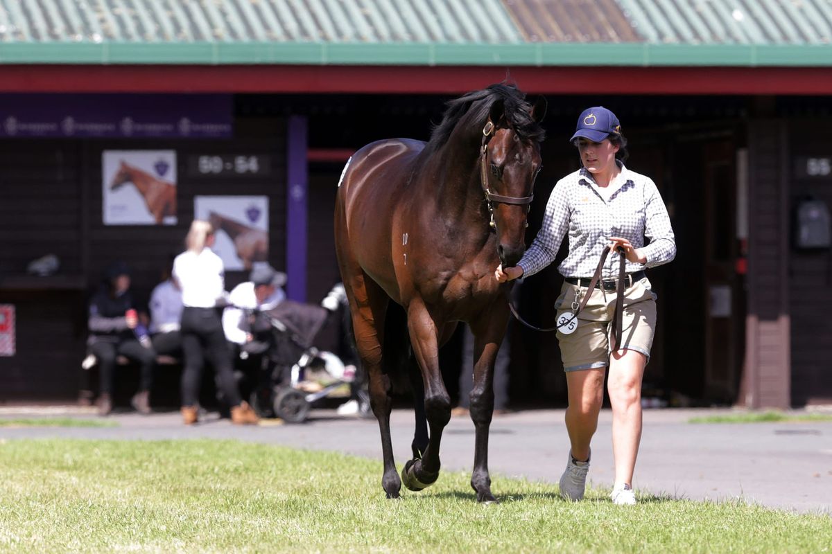 Williams secures sale topper