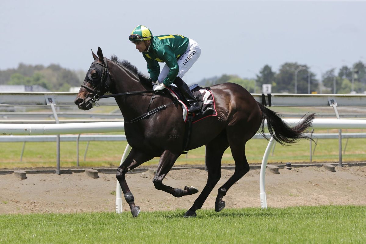 Stakes challenges for Brennan pair