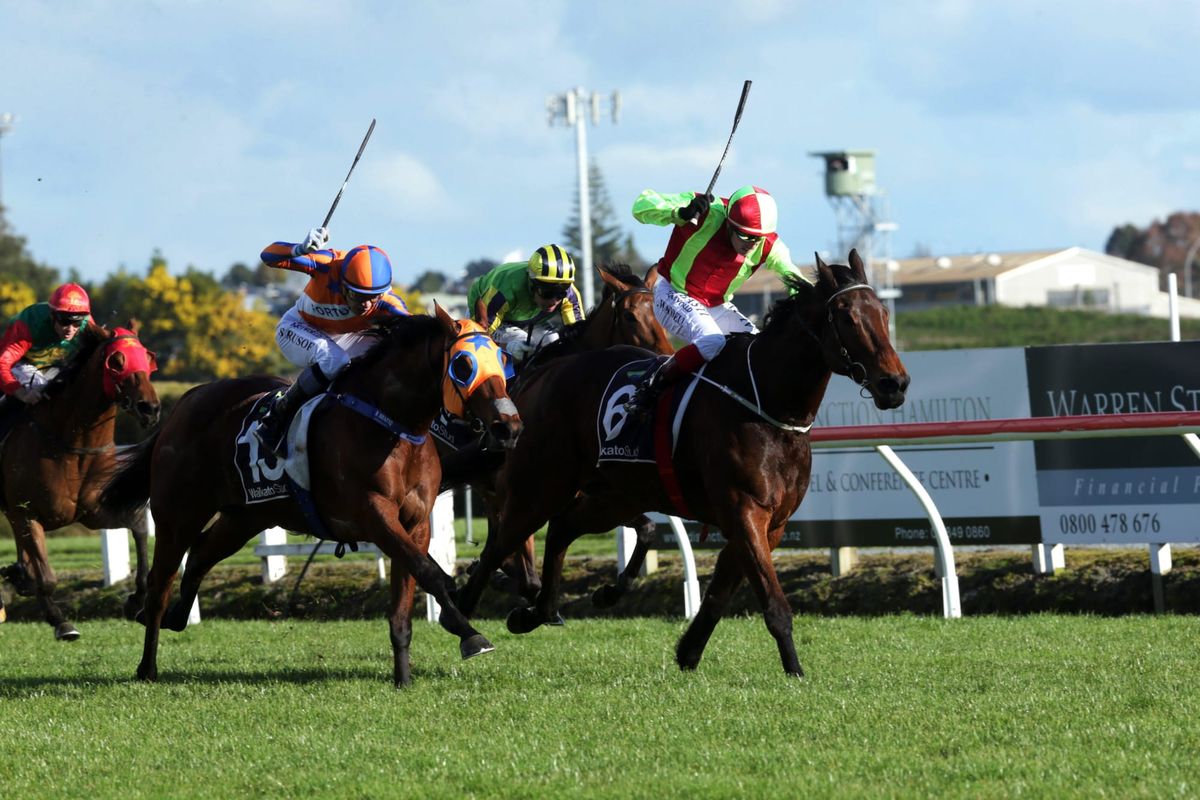 Julius set for Counties comeback