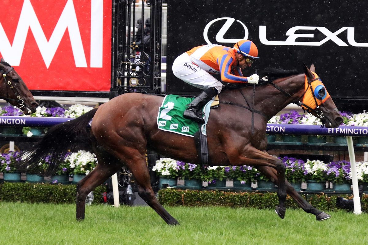 NZ darling of the turf to tackle Mackinnon