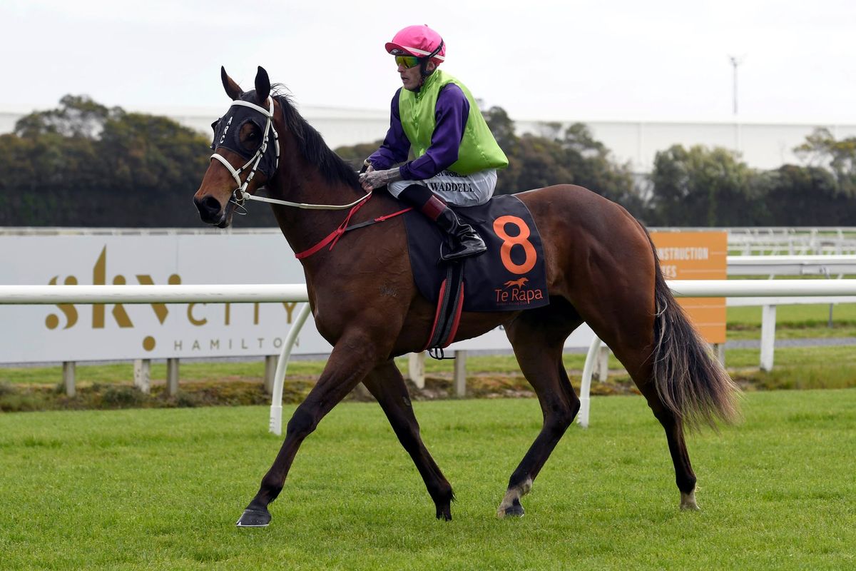 Derby prospects to contest Wellington Stakes