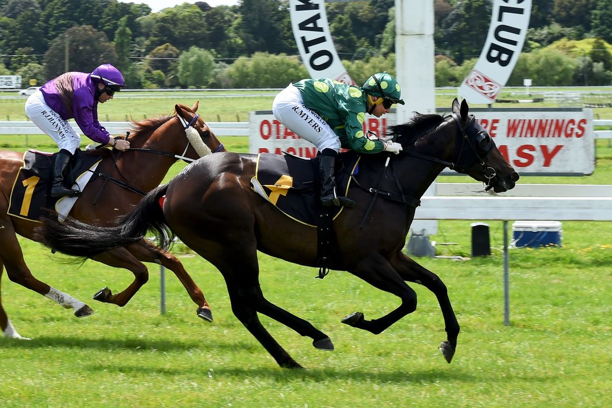 Romantic Lady scores at Otaki