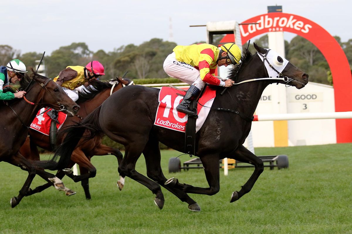 Grade drop to aid Savaheat at The Valley