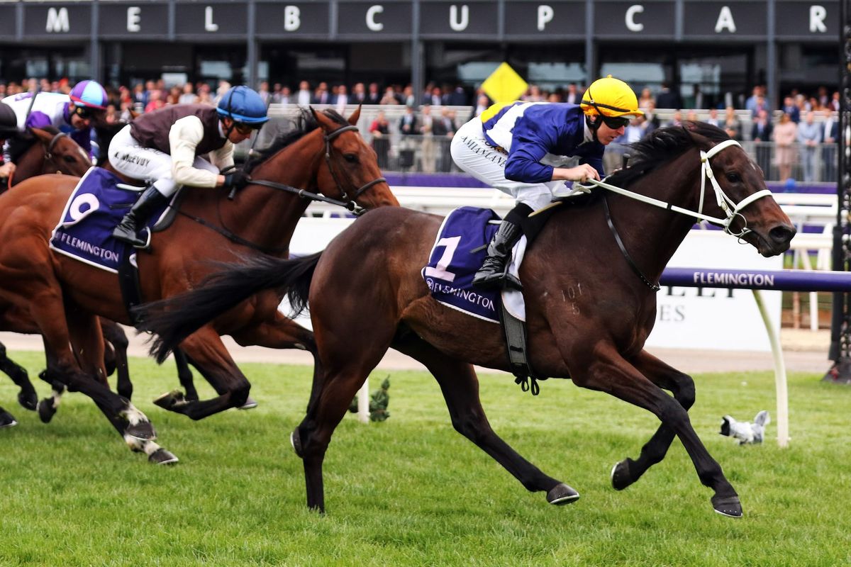 Savvy Oak bounces back with Flemington win