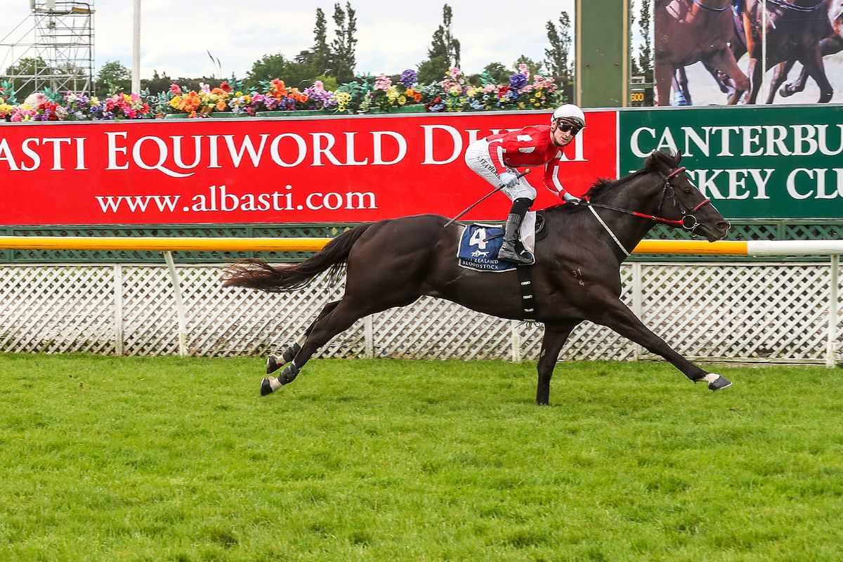 Sensei sensational in Riccarton dash