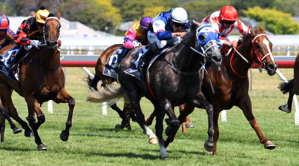 Oaks winner back in business at Wanganui