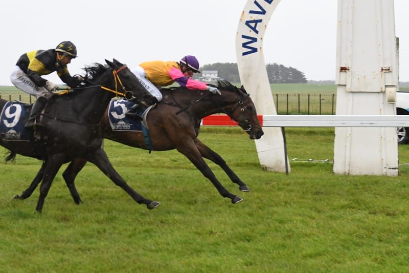 Local takes Waverley Cup