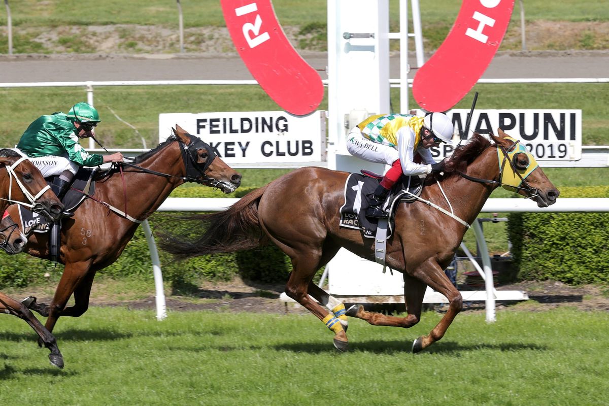 Oulaghan casting his eye on more Riccarton success