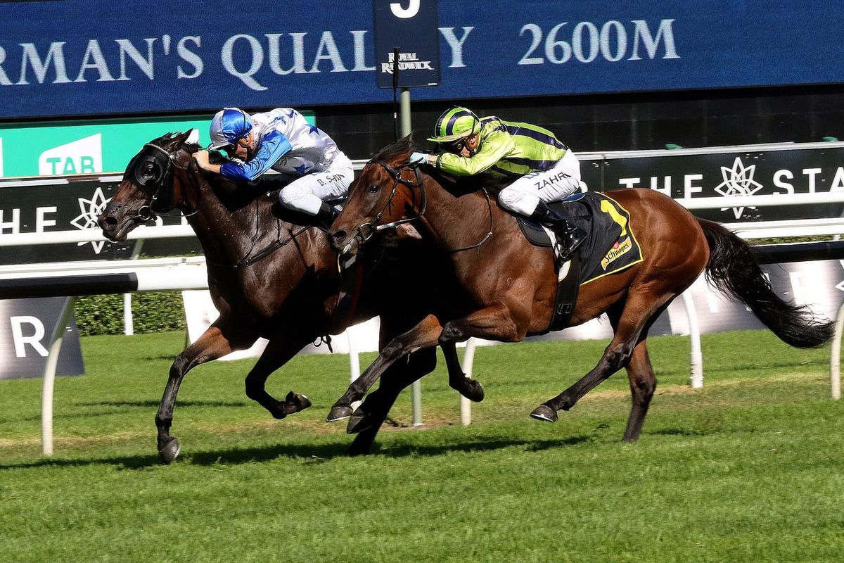 Kiwis given clearance to fly