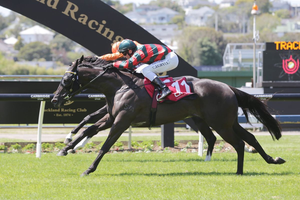 Spring Heat arrives at Ellerslie