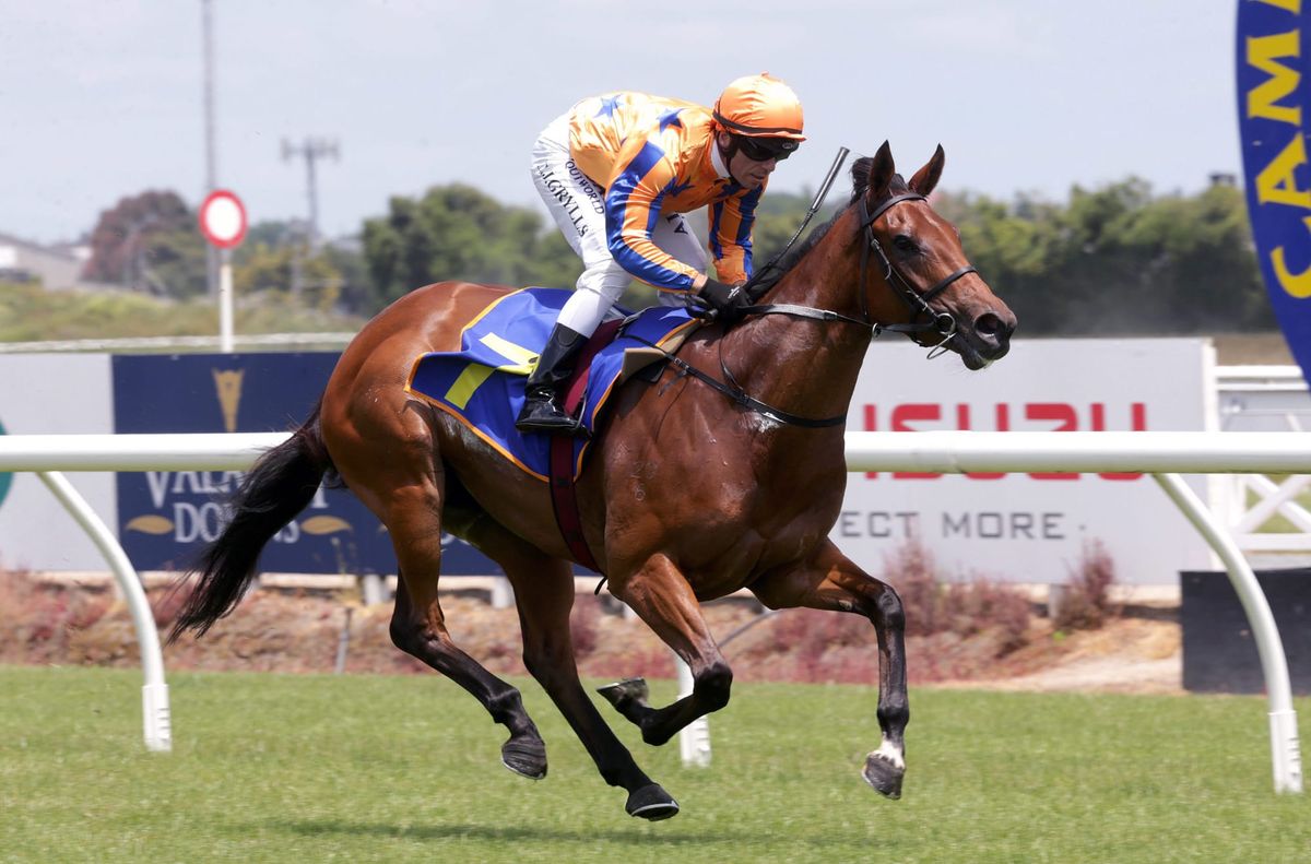 Impressive Te Rapa maiden winners