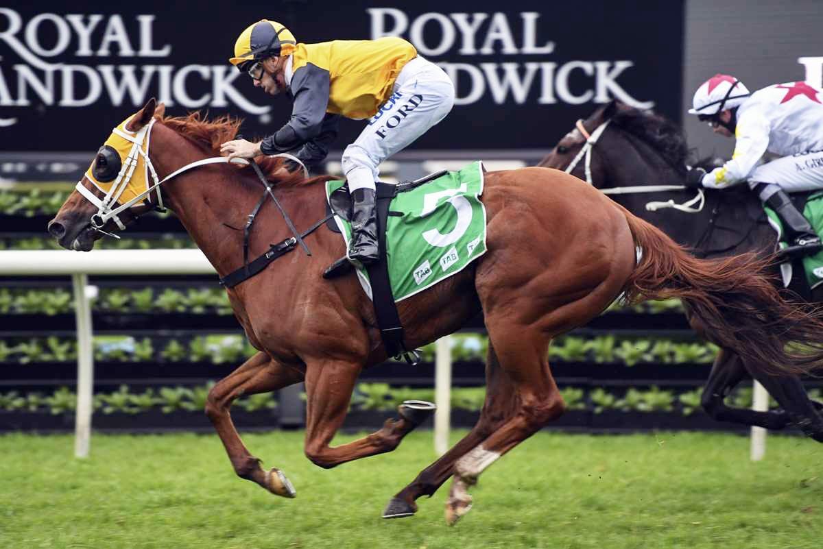 Waller’s star set to shine in The Gong