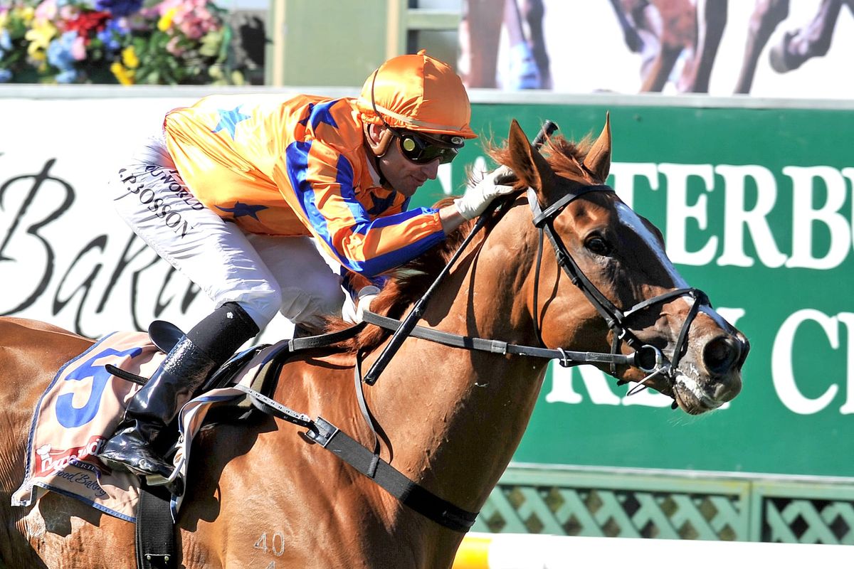 Huge Updates to Ready to Run Sale Catalogue