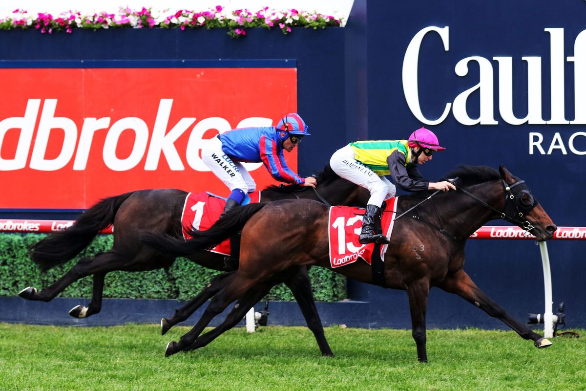 Gear change for Kiwi Cup hope