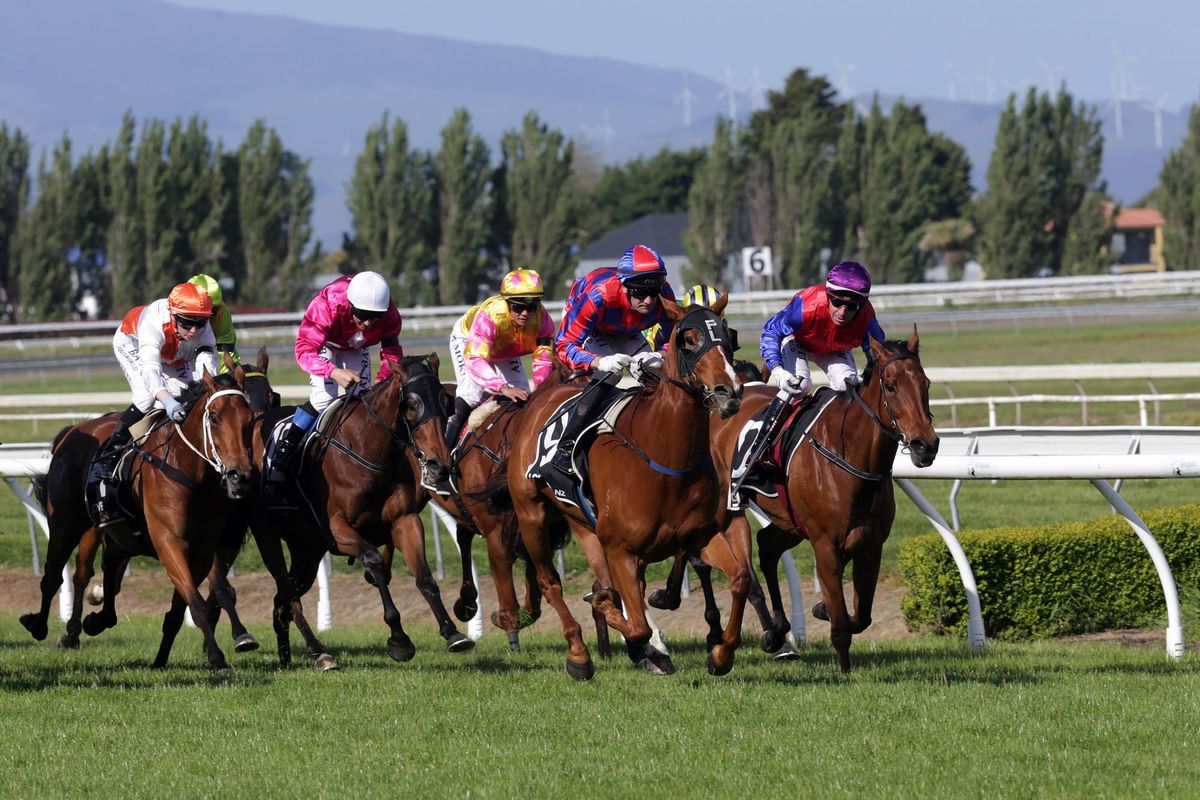 Toms comes of age in Feilding Gold Cup