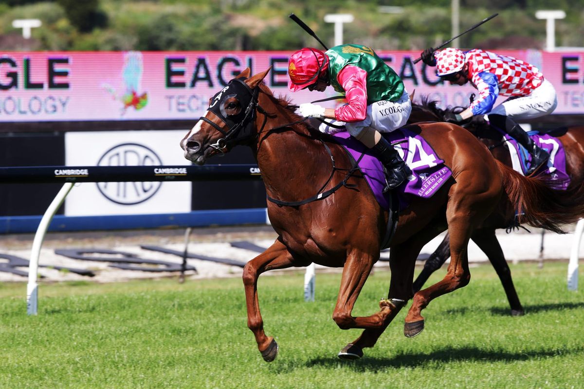 Professional display nets stakes victory for Two Illicit