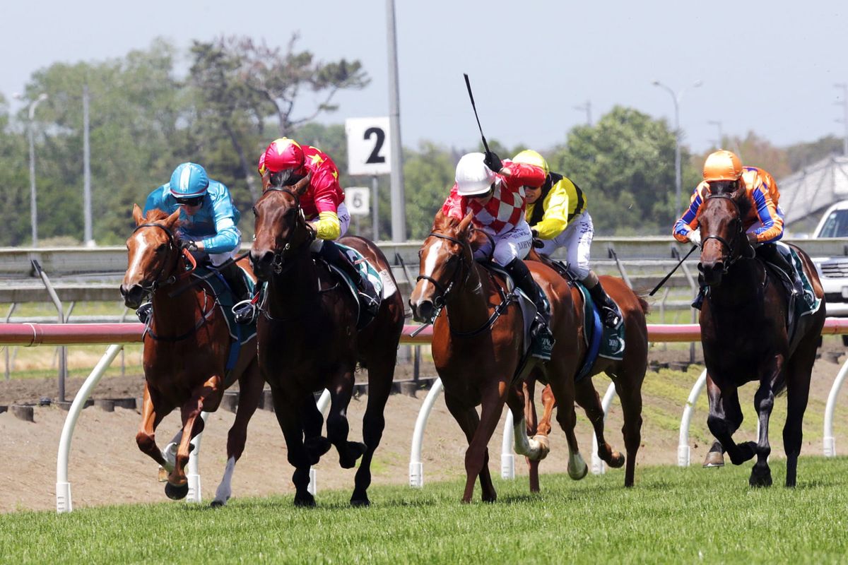Unition takes out Pukekohe two-year-old feature on debut