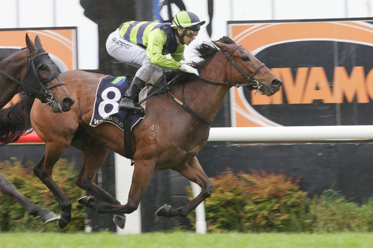Yearning for elusive stakes win