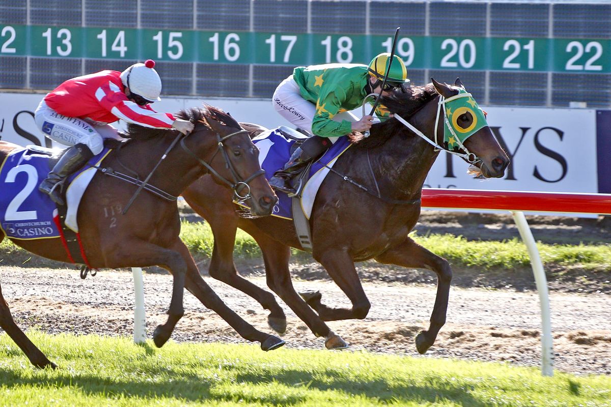 White Robe celebrates Jericho Cup quinella