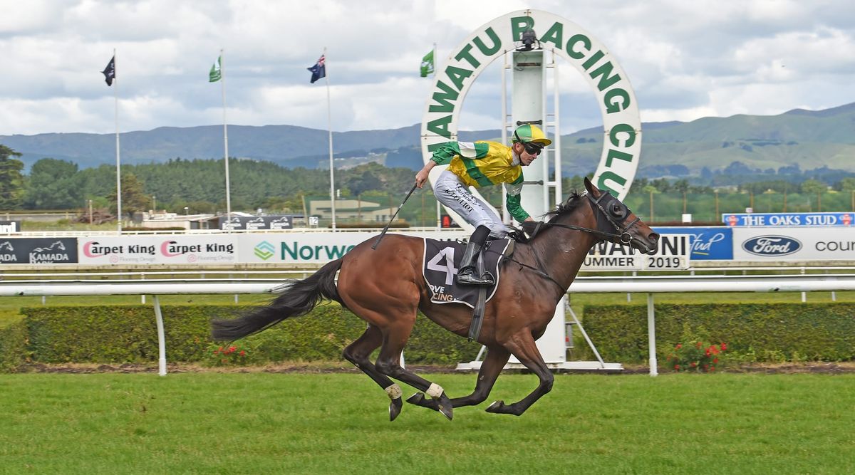 Concert Hall on song in Manawatu Cup