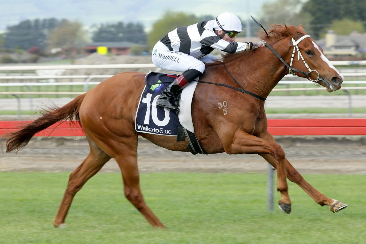 Ritchie seeking Ellerslie riches