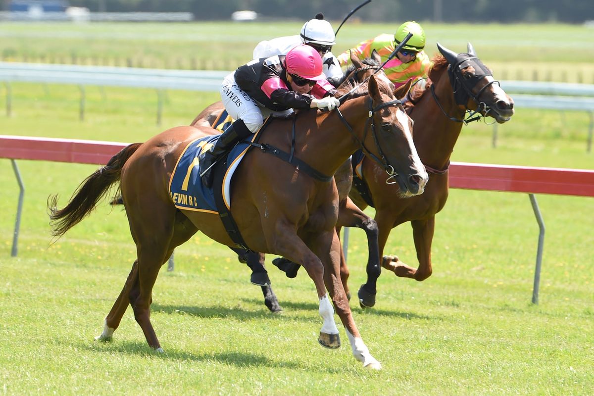 Cups targets for Dezella