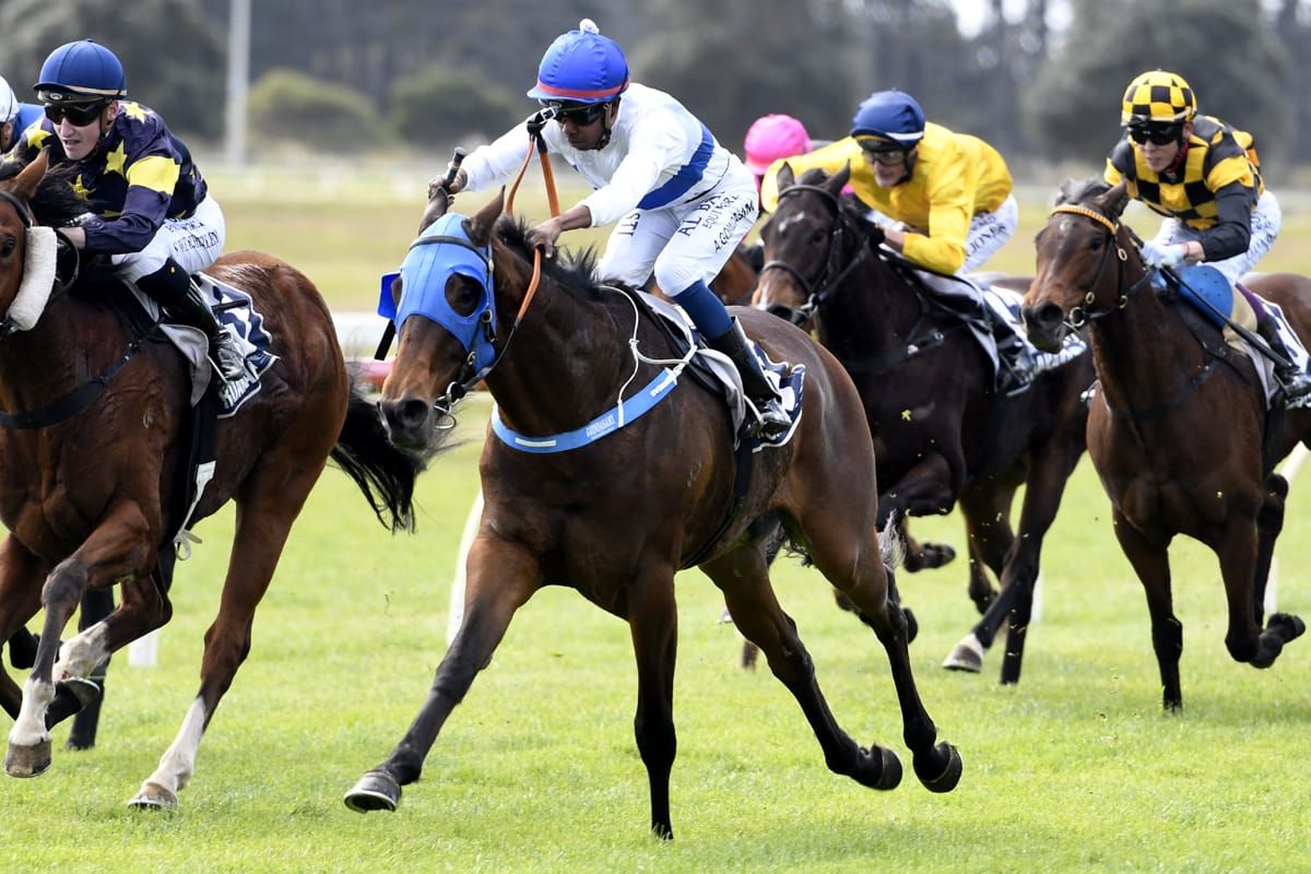 Hawtin 3YO to make big impact