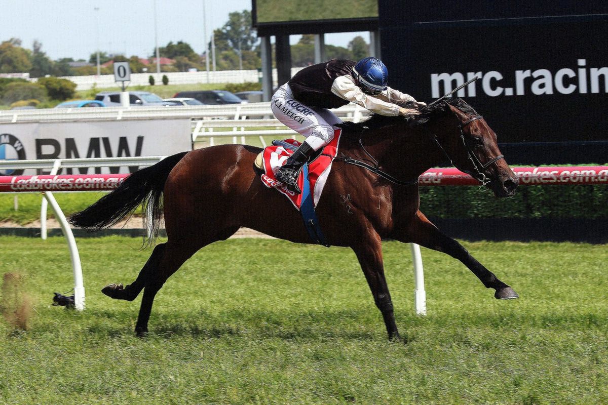Matt Cumani settles on Pakenham Cup option