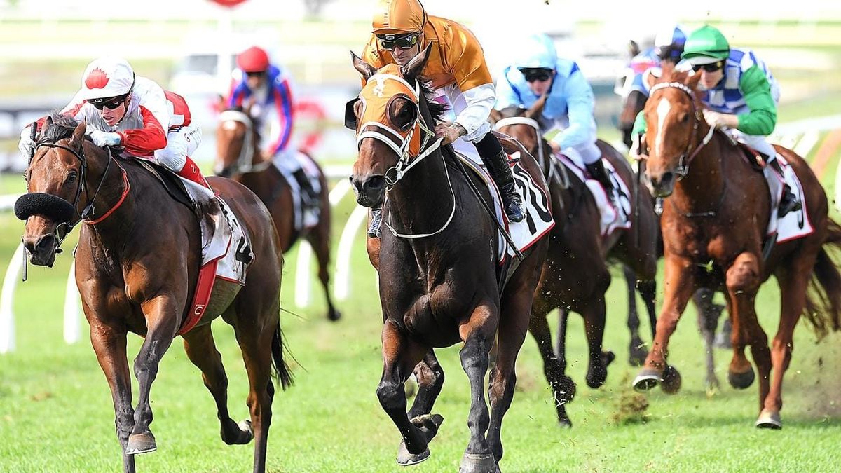 Rising Red, Salsamor to make race returns