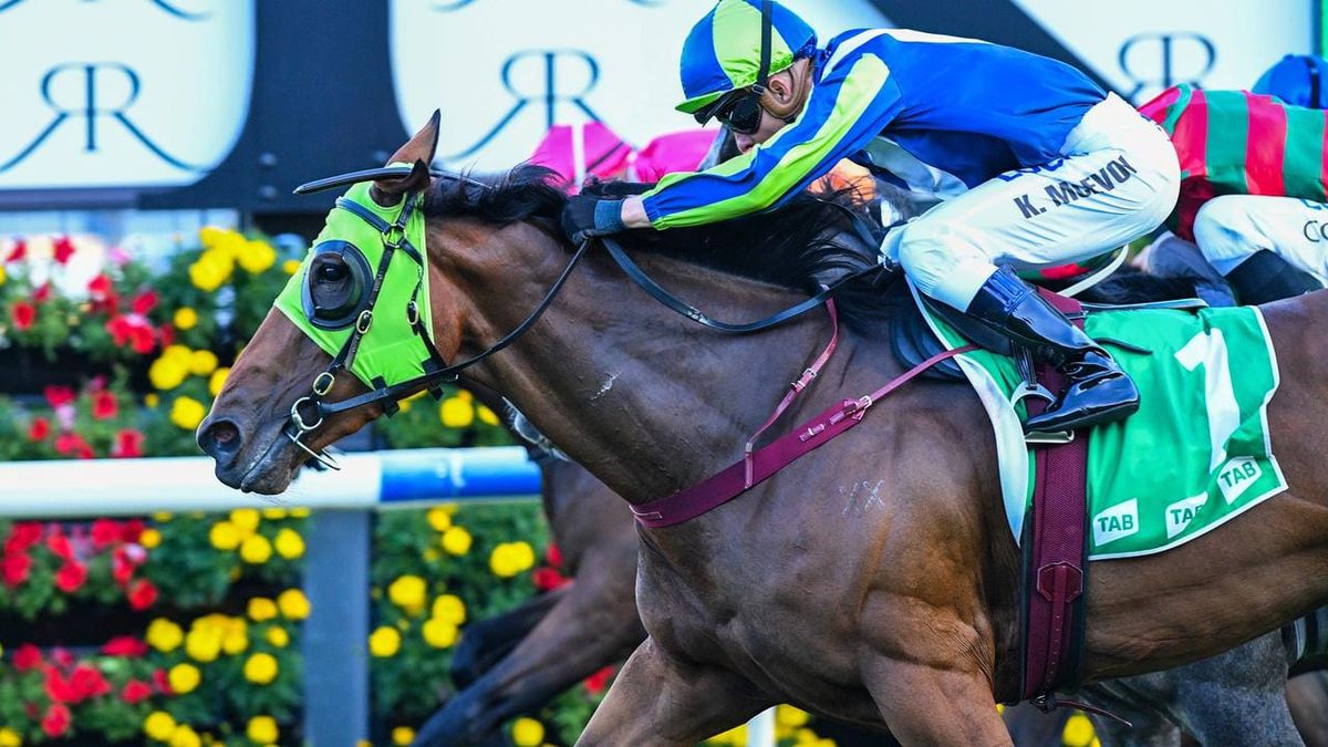 Luvalulva to end summer campaign in Cup