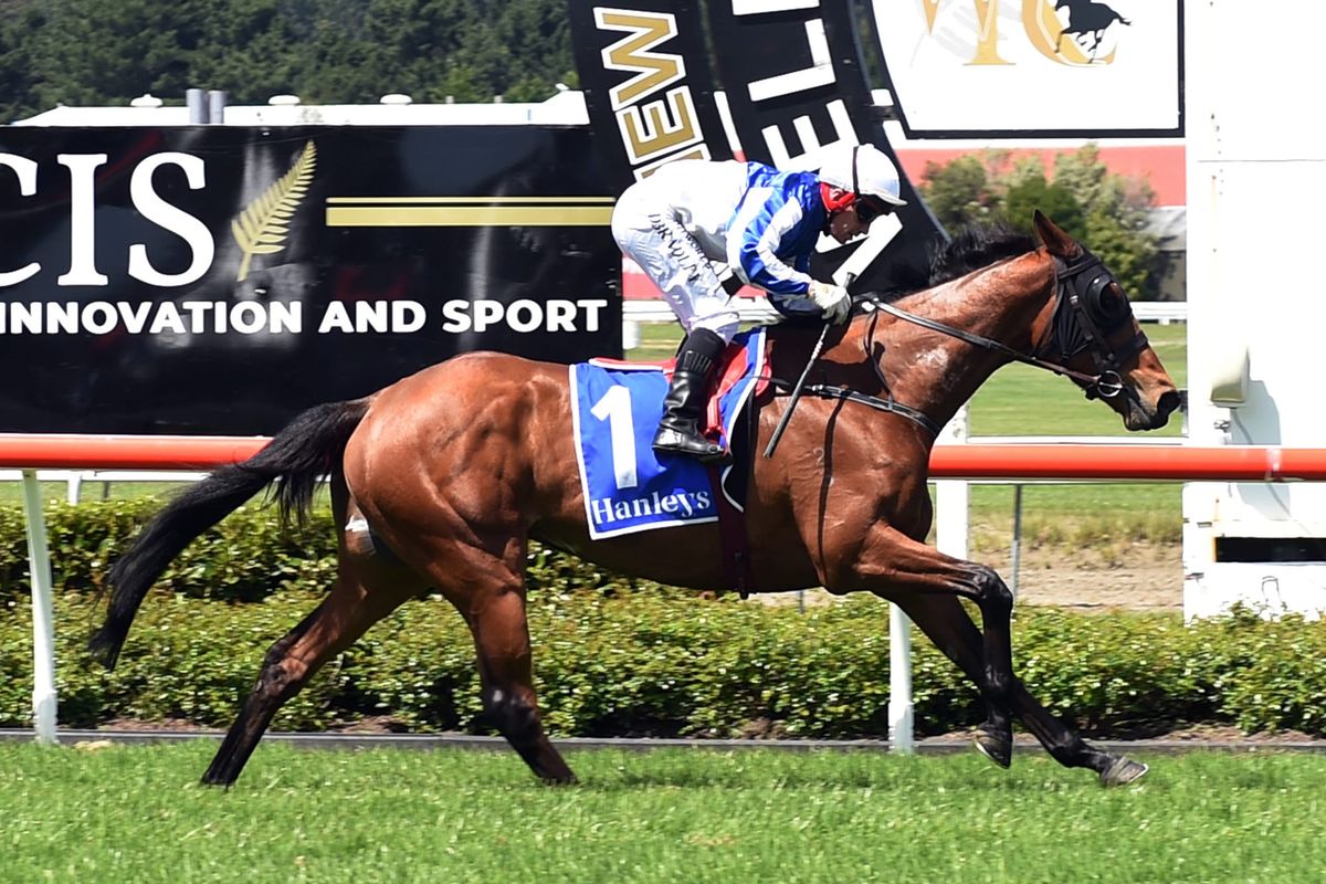 Milestone stakes win awaits Bradley