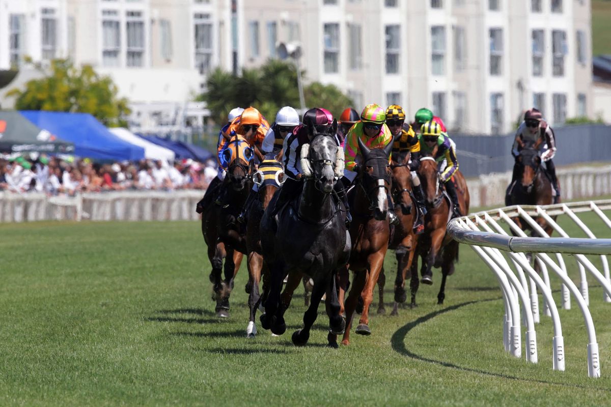 Local takes out Waikato Cup