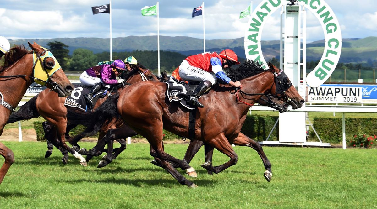 Southern mare springs upset in Awapuni feature