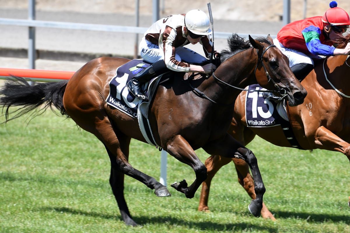 Kelso ready to challenge exciting three-year-old