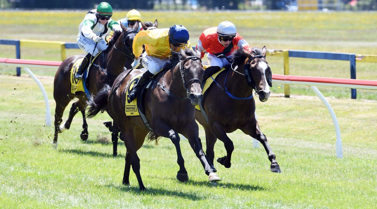 Steep learning curve pays off for Sacred Falls filly