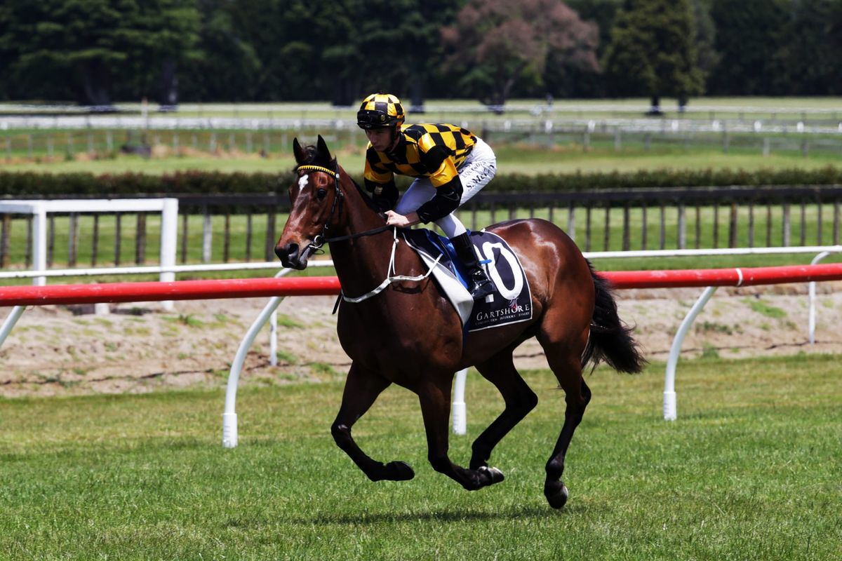 Three-year-old fillies exciting Noble