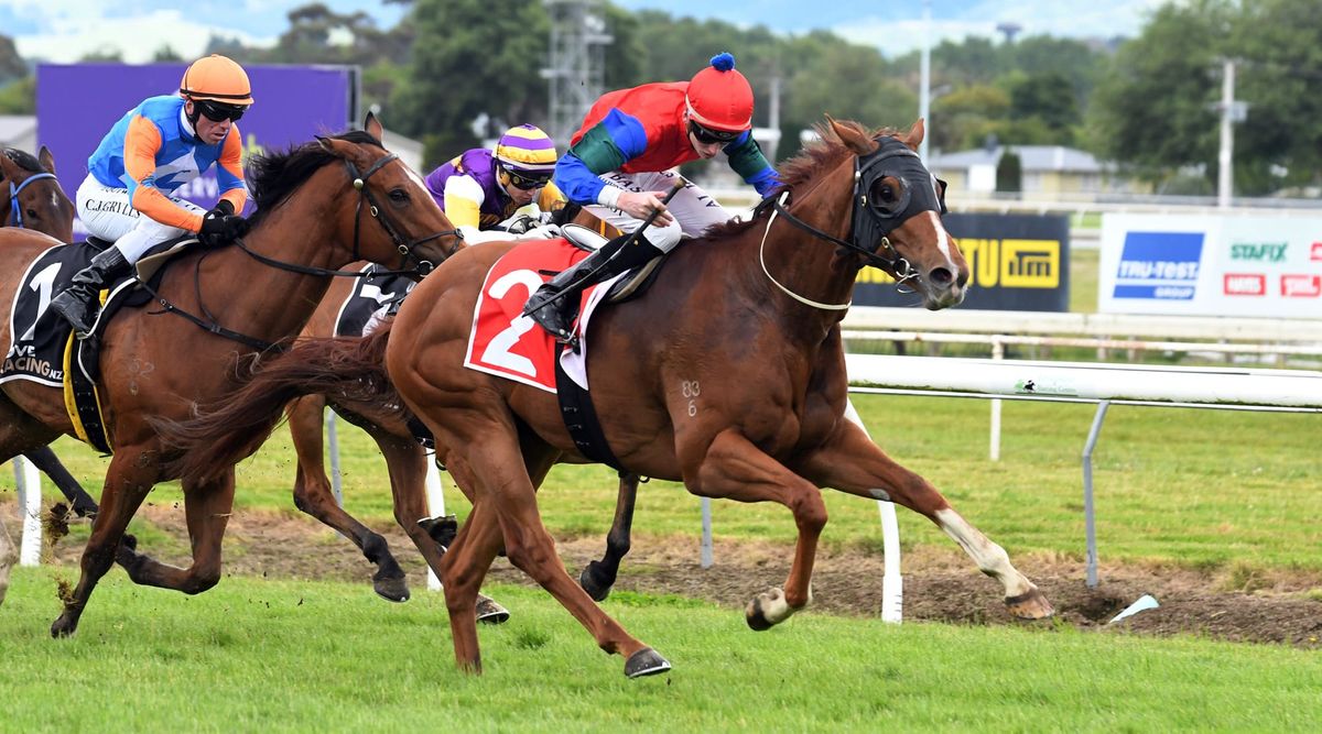Mascarpone sends warning to three-year-old rivals