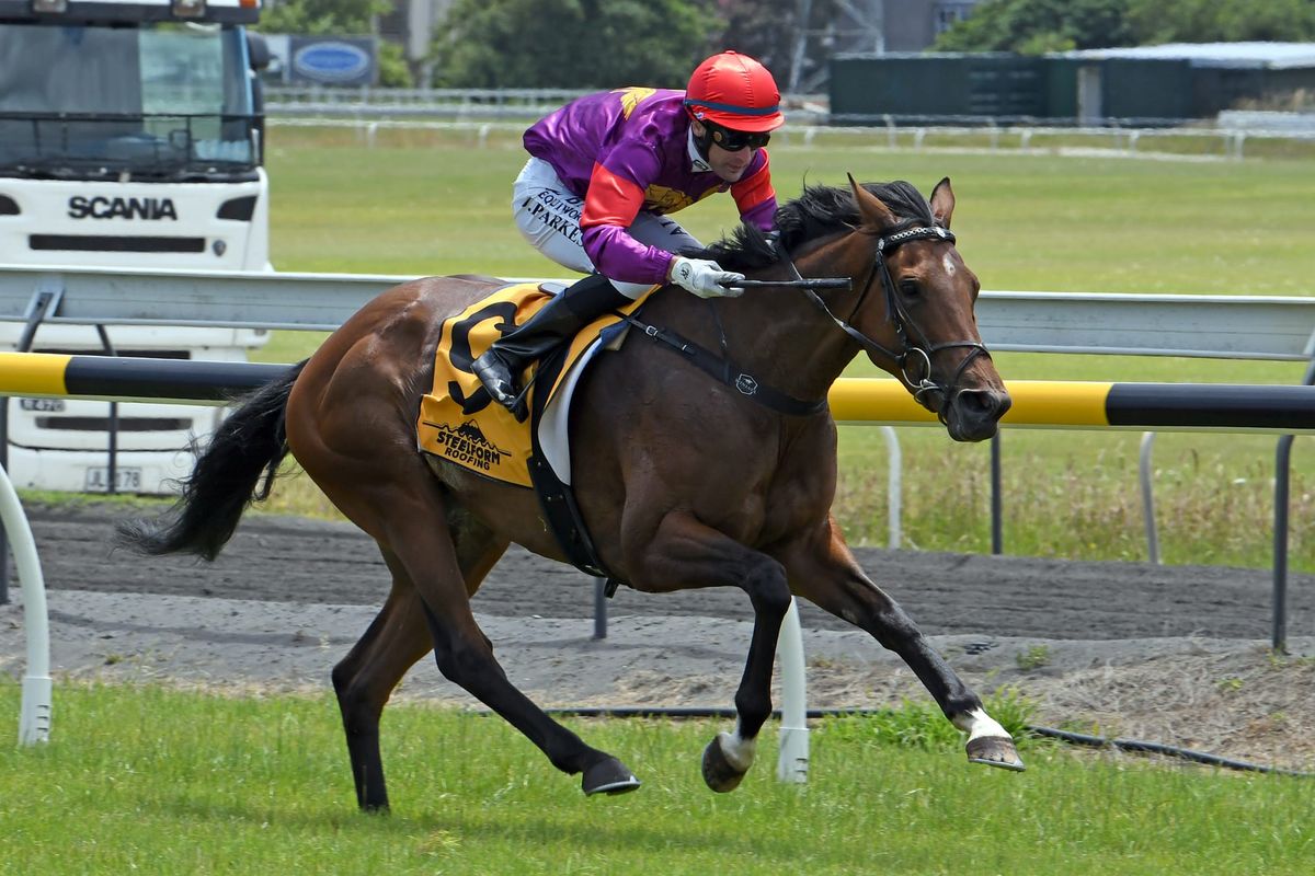 Special milestone for Auret and Parkes at New Plymouth