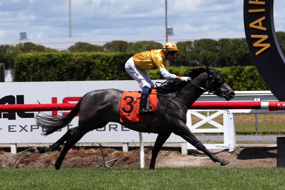 Baker set to raise the bar with impressive Te Rapa maiden winner