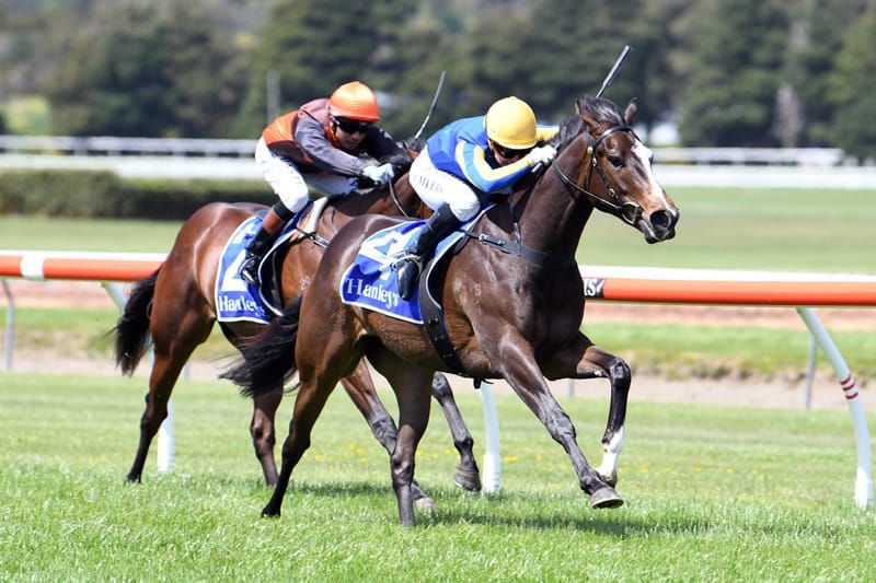 Tiley trio ready for Ellerslie assignments