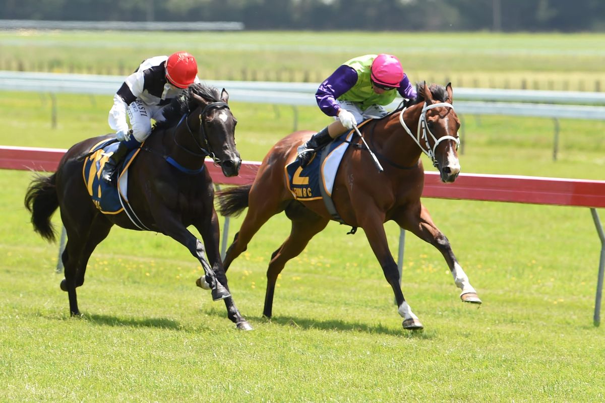Eclipse pair out to continue Campbell’s run