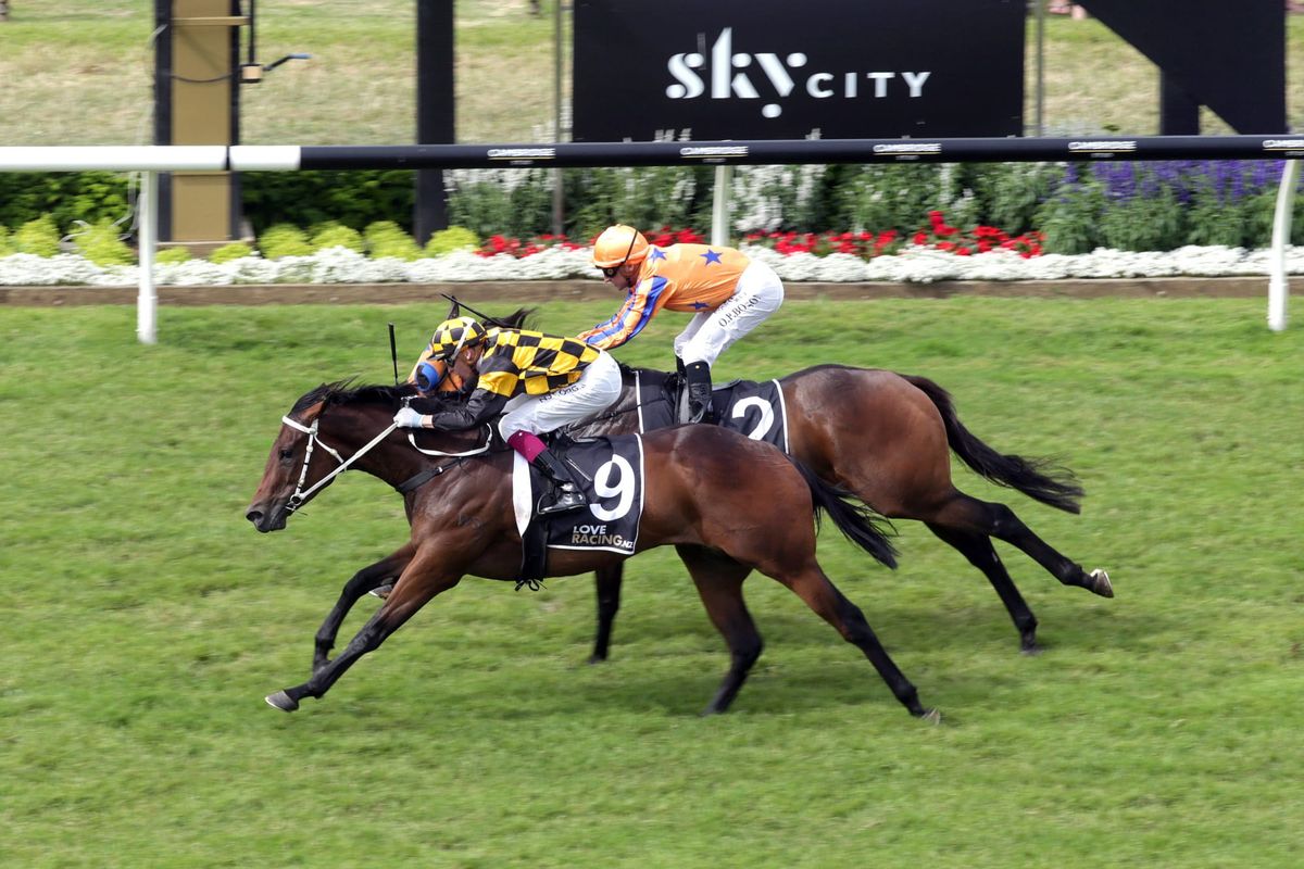 Pretty To Sea lifts Cambridge Stud spirits