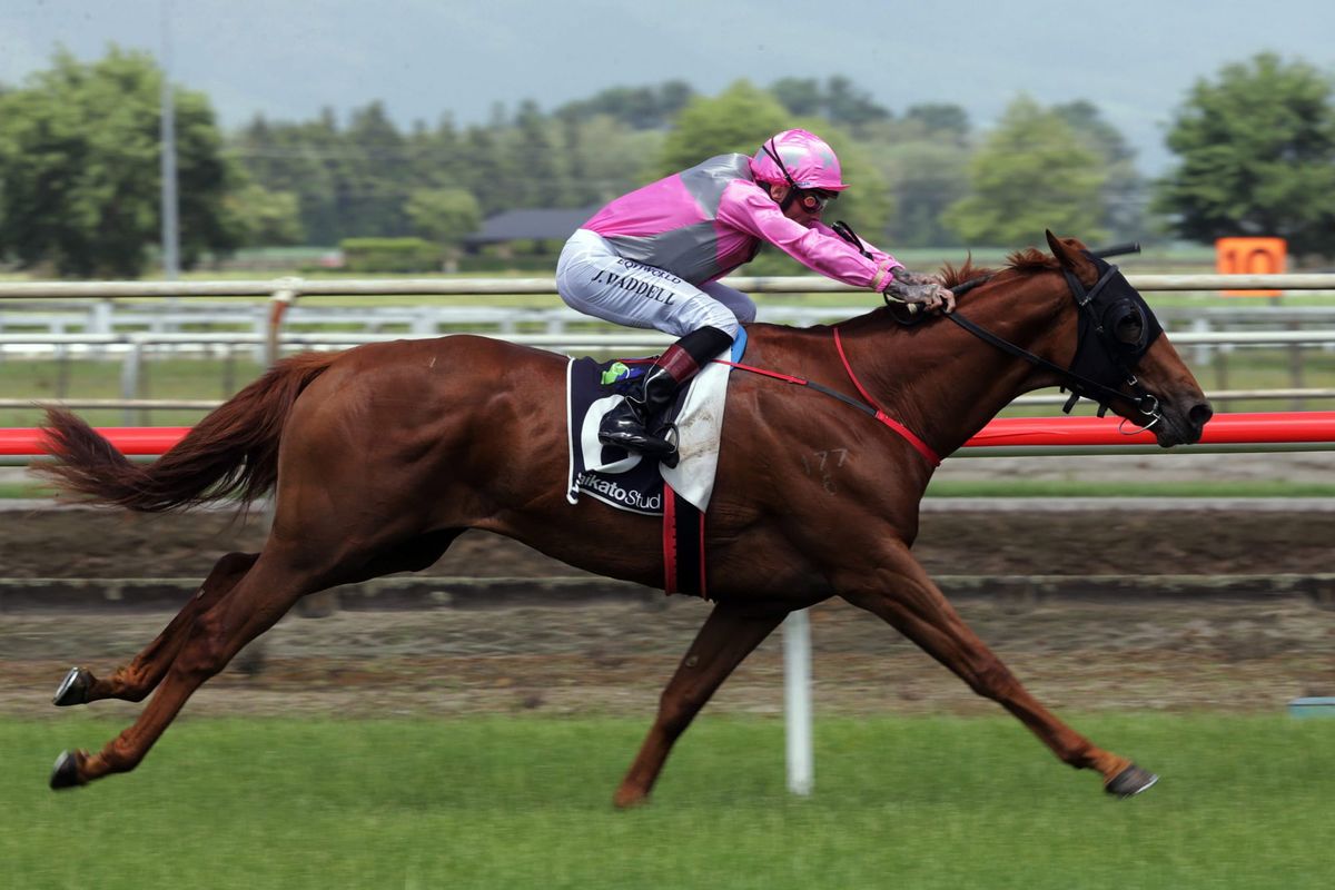 Principle too good at Matamata